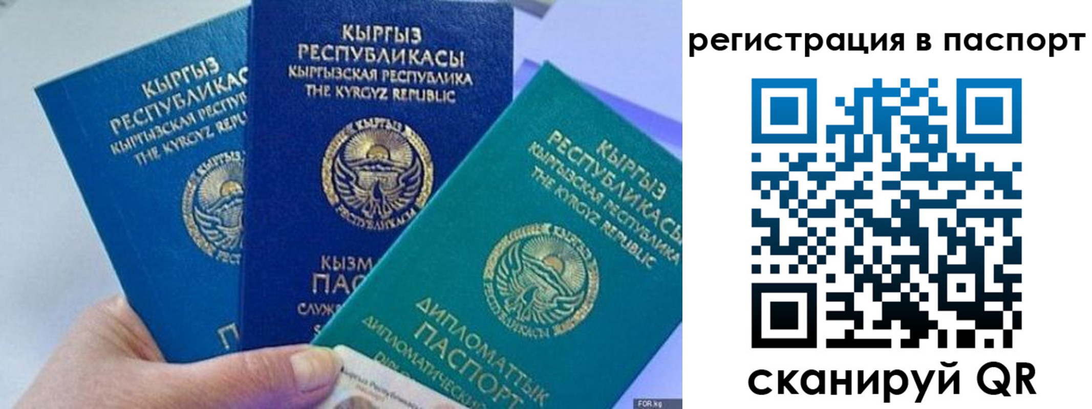 прописка 2025 в Волоколамске